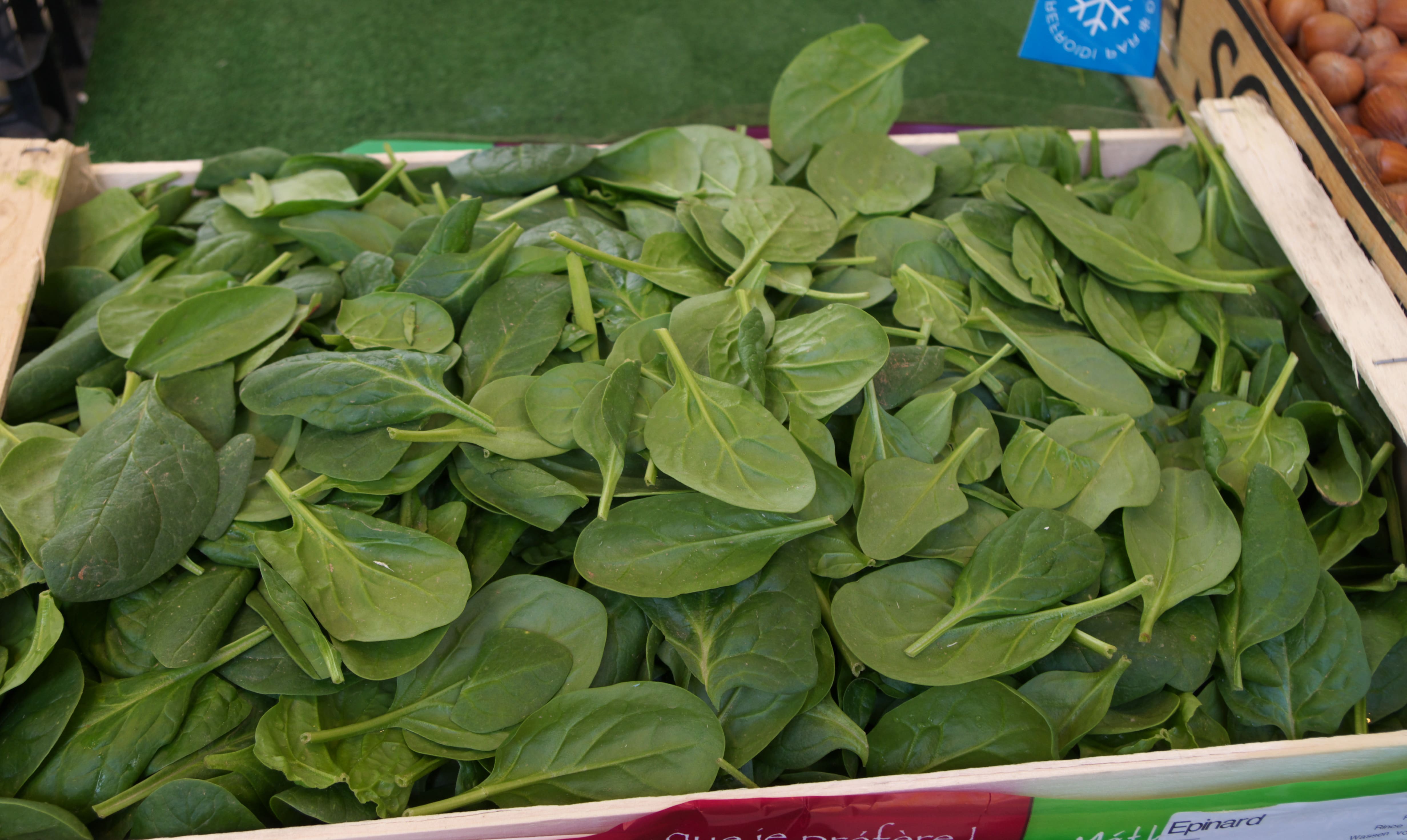 Можно добавить только в салат: шпинат ухудшает состояние при язве и желчекаменной болезни 