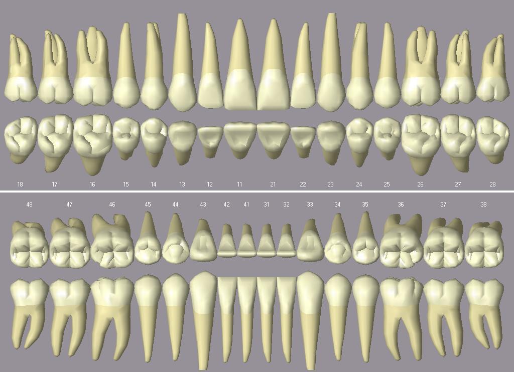 Последствия пропуска чистки зубов: гингивит, пародонтит, галитоз, кариес и потеря зубов 