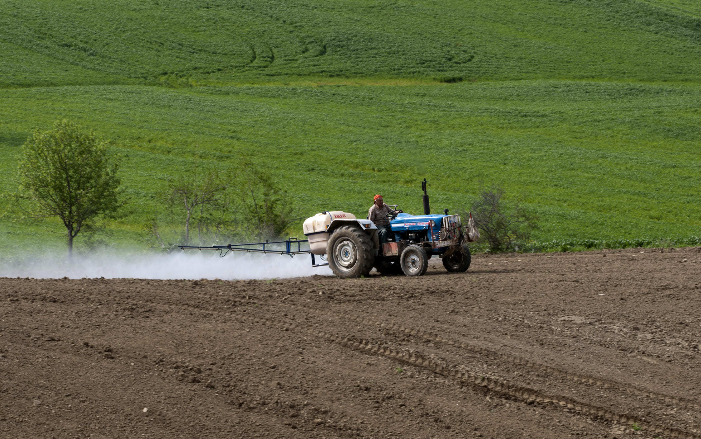 Дачники и огородники могут пострадать от онкологии: пестициды опасны как курение 